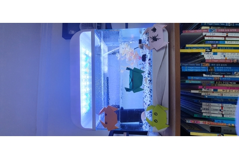 구피 놀래켜주기 타이틀 이미지